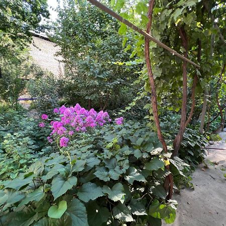 Lovely Home Ош Екстериор снимка