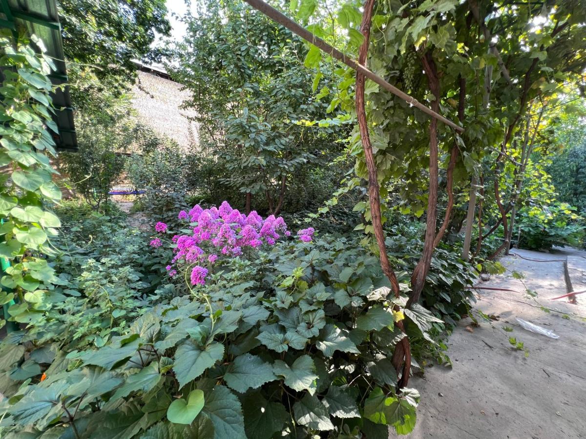 Lovely Home Ош Екстериор снимка