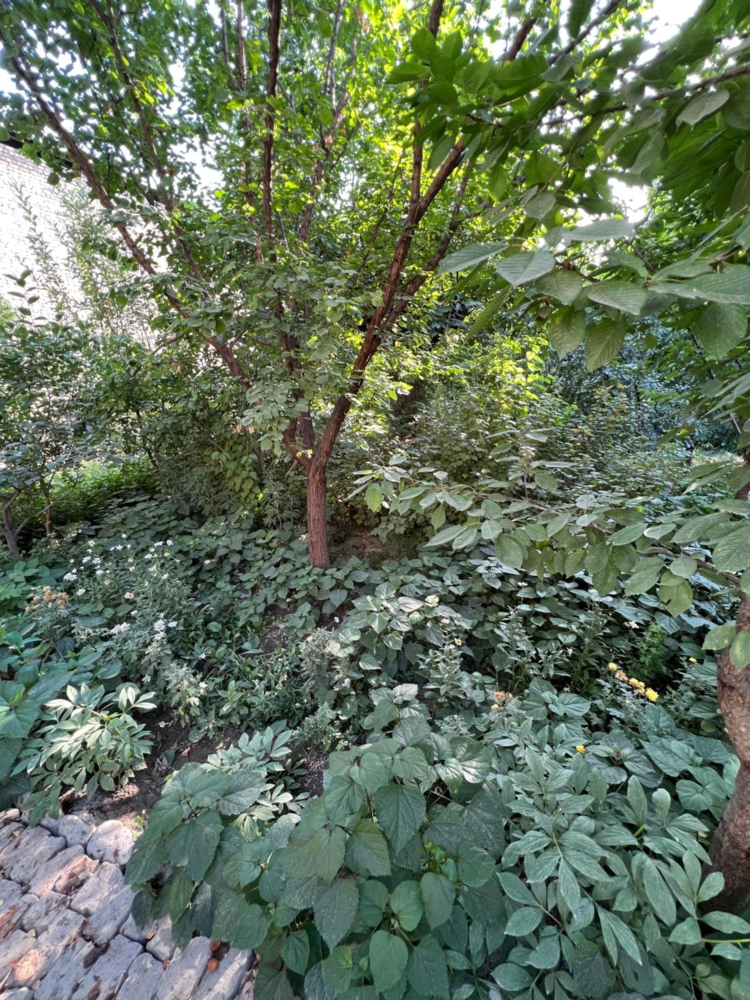 Lovely Home Ош Екстериор снимка